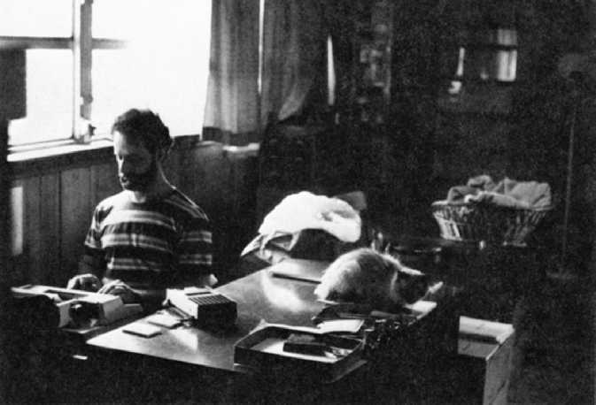 Материал Ра. Закон Единого. Книга 1. Шоколадный Батончик, один из четырех котов, наблюдает за процессом. Материал Ра. Закон Единого. Книга 1. Шоколадный Батончик, один из четырех котов, наблюдает за процессом.