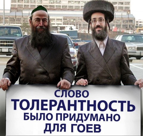 Слово «толерантность» было придумано для гоев Слово «толерантность» было придумано для гоев
