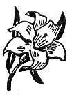 Freemasonry - flower symbol