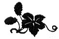 Freemasonry - leaves symbol