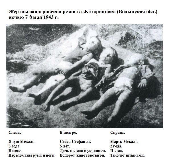 Дети «польских инородцев» - замученные палачами из ОУН-УПА